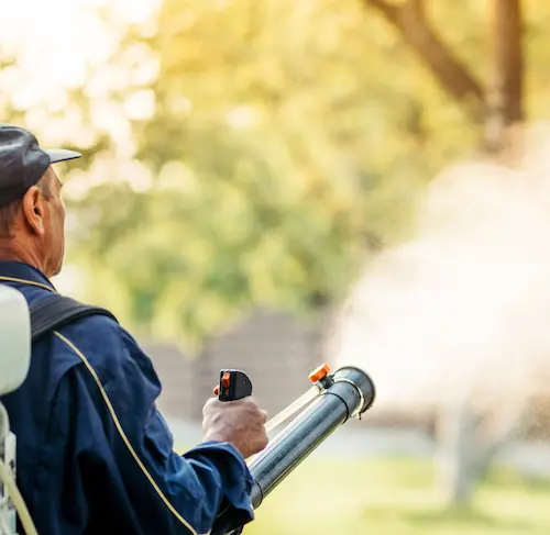 Picture of Pest Control Worker. 