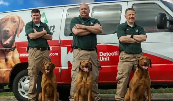 Action Pest K9 Unit Team Standing with Van and Dogs