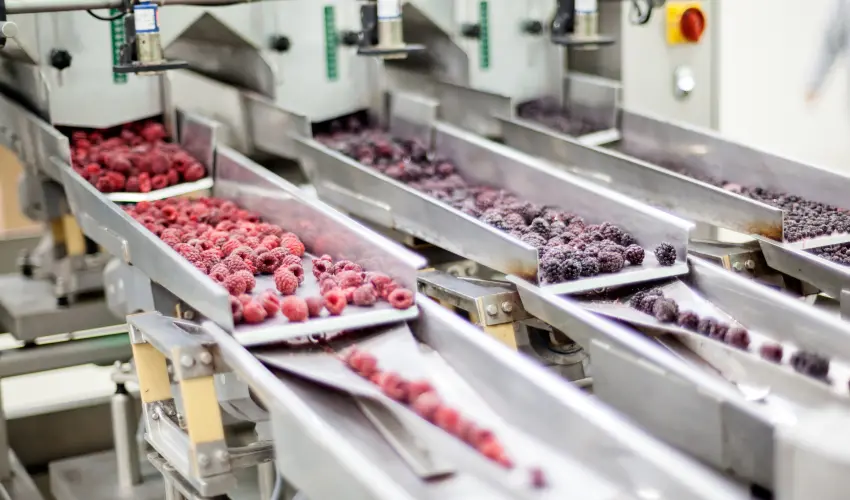 Frozen raspberries and blackberries in a food processing plant. Birds can be a genuine nuisance when they infest your food or beverage processing facility. Contact the bird control experts at Action Pest Control to eliminate pest birds from your business today.